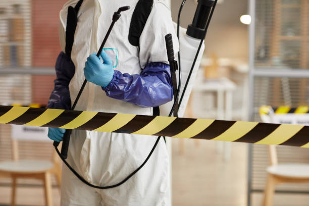 Professional Sewage Cleanup technician working in Halifax, MA